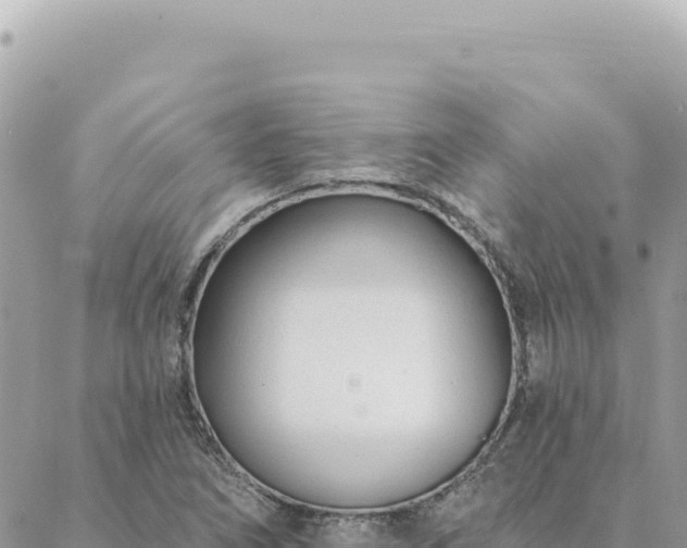 X0000088611266200706011218