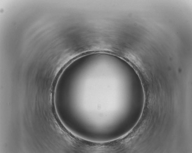 X0000088611268200706011218