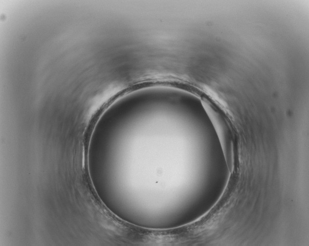 X0000088611269200706011218