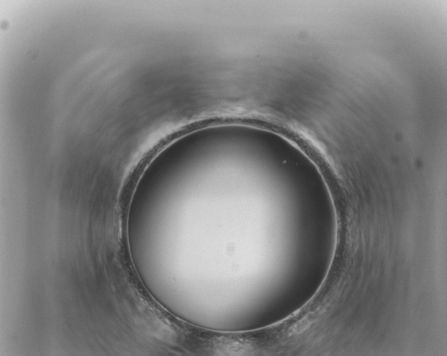 X0000088611270200706011218