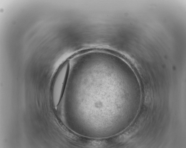 X0000088611271200706011218