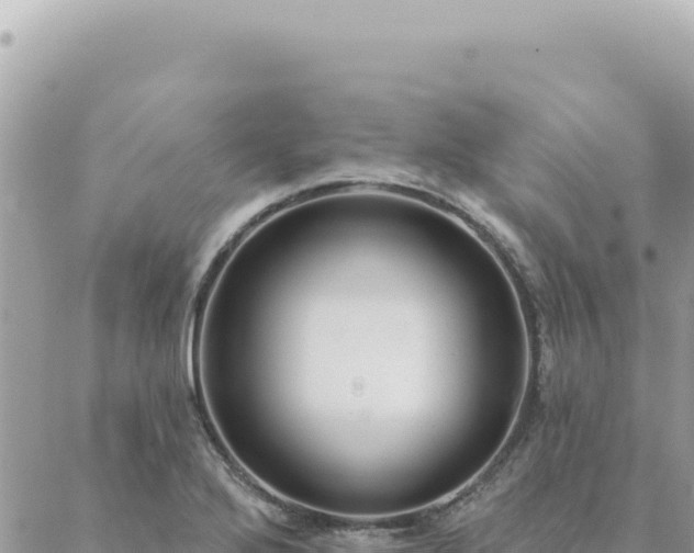 X0000088611272200706011218