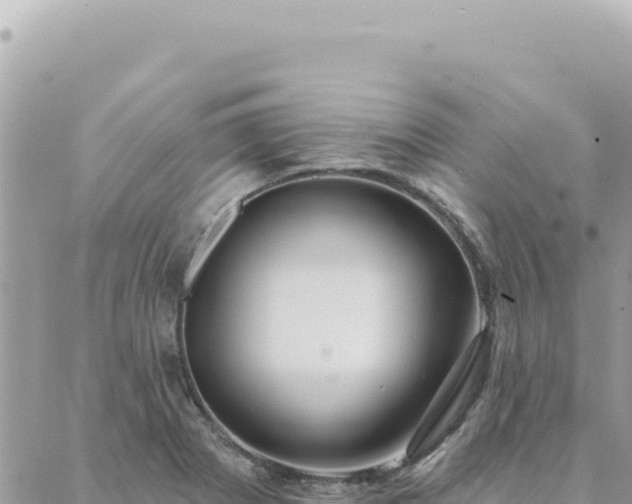 X0000088611273200706011218