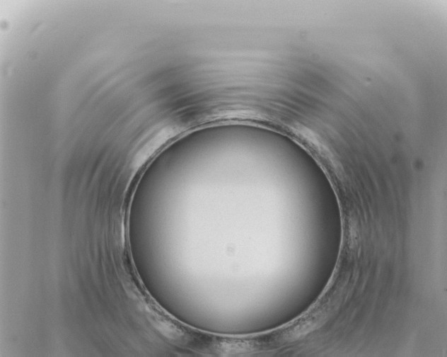 X0000088611274200706011218