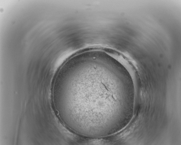 X0000088611279200706011218