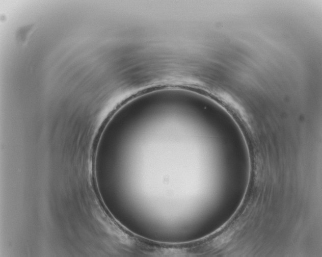 X0000088611280200706011218