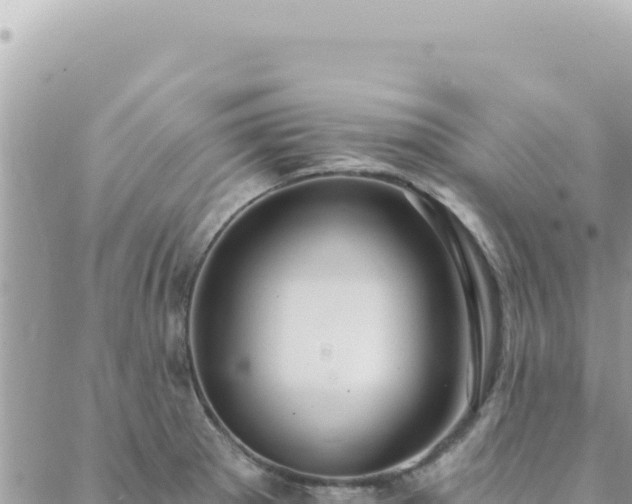 X0000088611281200706011218