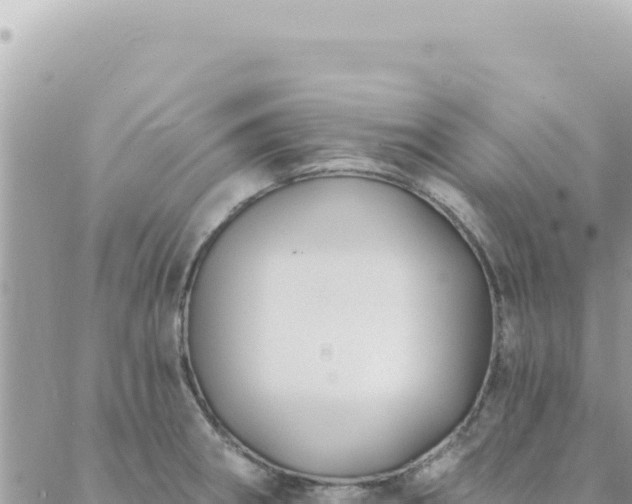 X0000088611282200706011218