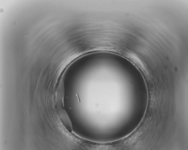 X0000088611284200706011218