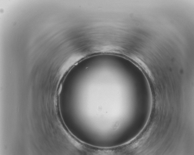 X0000088611285200706011218