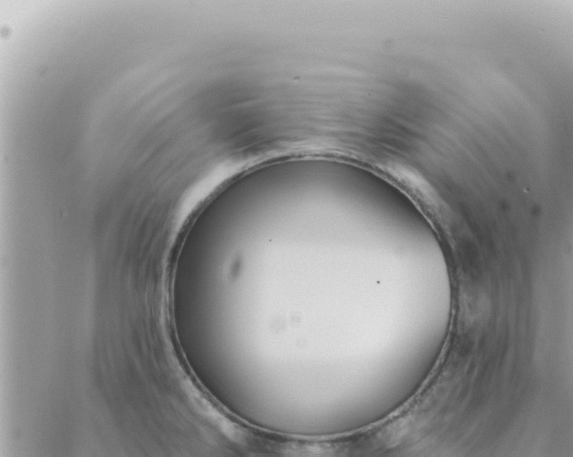 X0000088611286200706011218