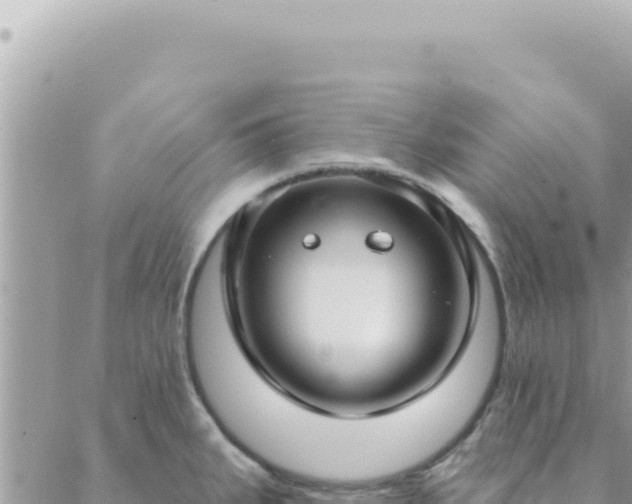 X0000088611287200706011218