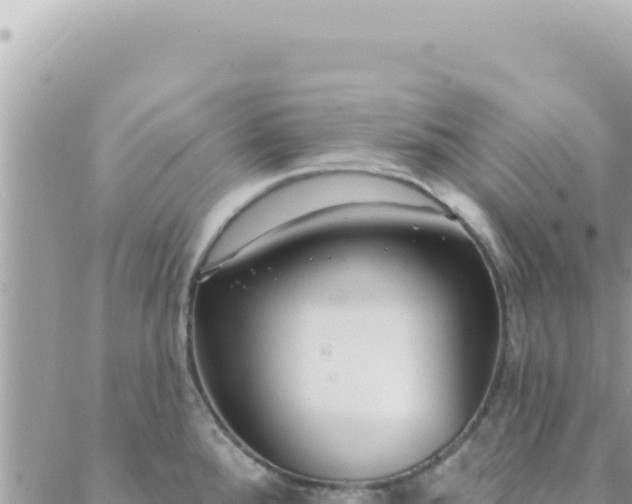 X0000088611288200706011218