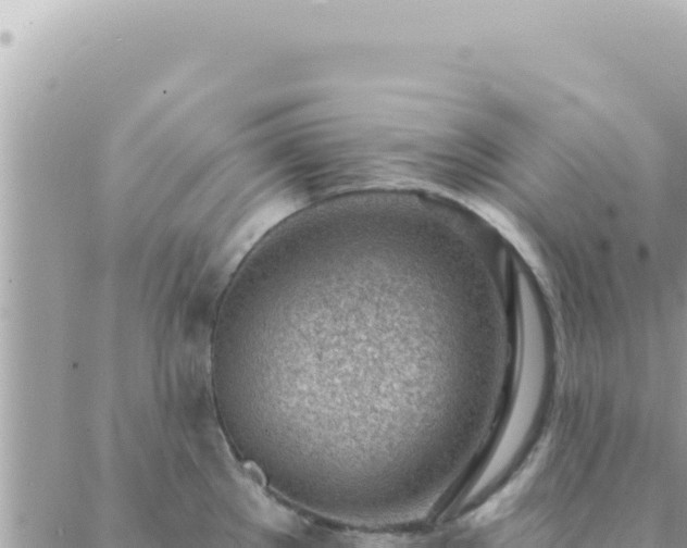 X0000088611289200706011218