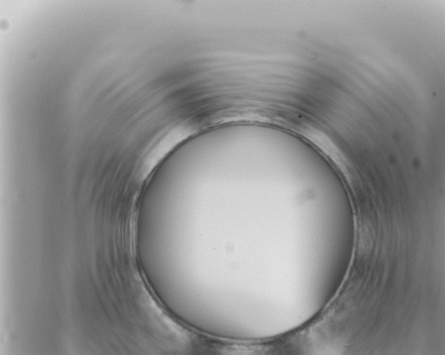 X0000088611290200706011218