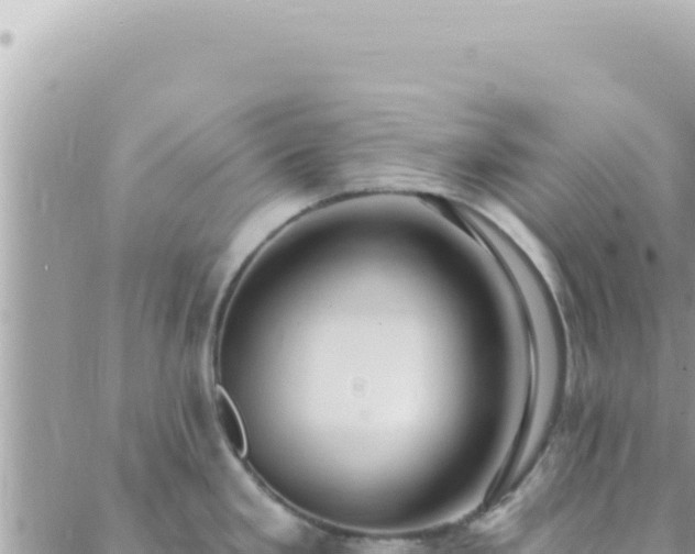 X0000088611293200706011218