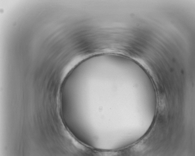 X0000088611294200706011218