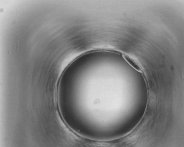 X0000088611295200706011218