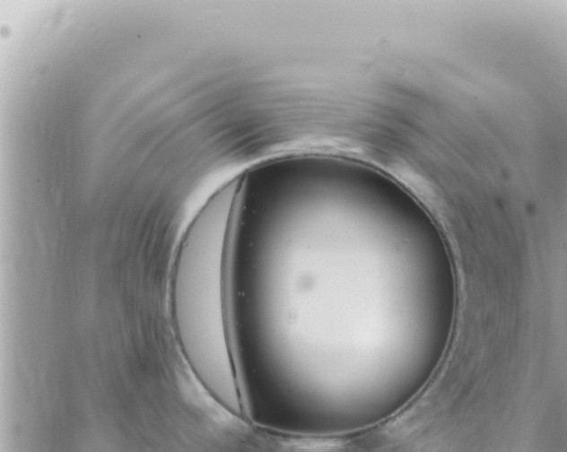 X0000088611296200706011218