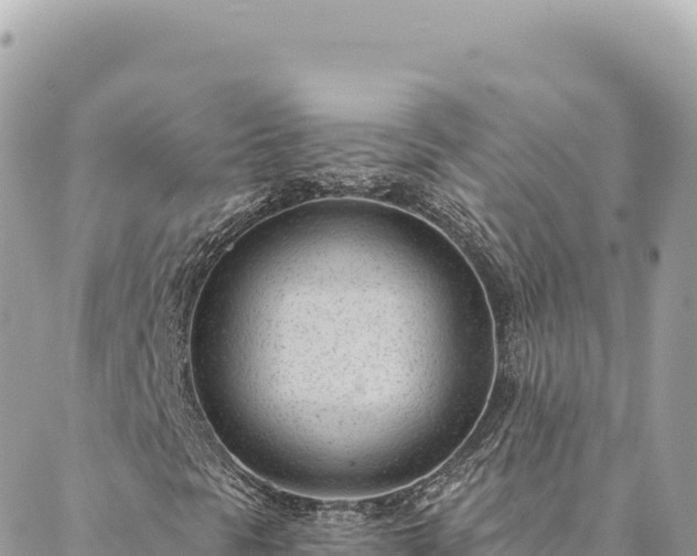 X0000088611297200706011217