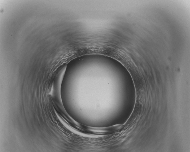 X0000088611298200706011217