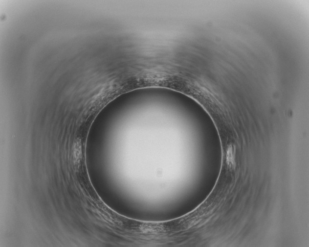 X0000088611299200706011217