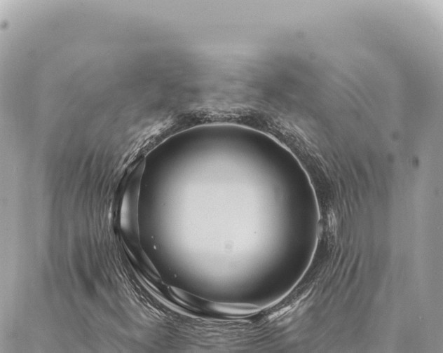 X0000088611300200706011217