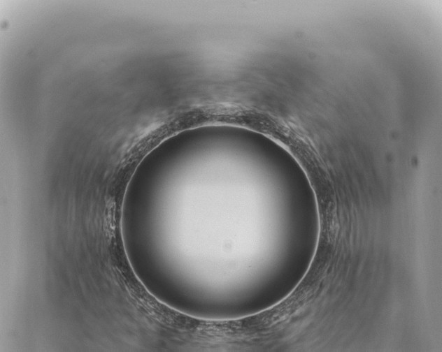 X0000088611301200706011217