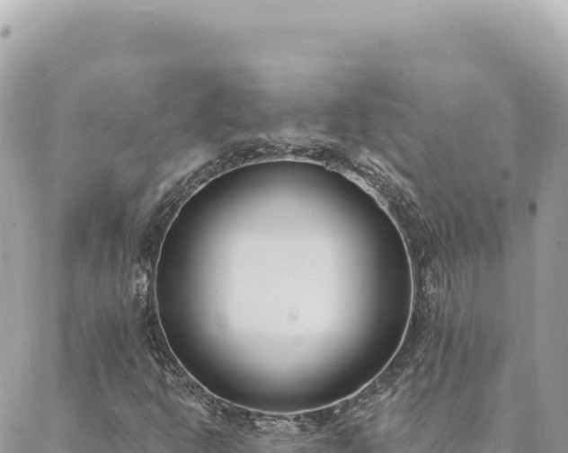 X0000088611302200706011217