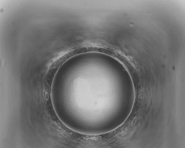 X0000088611303200706011217