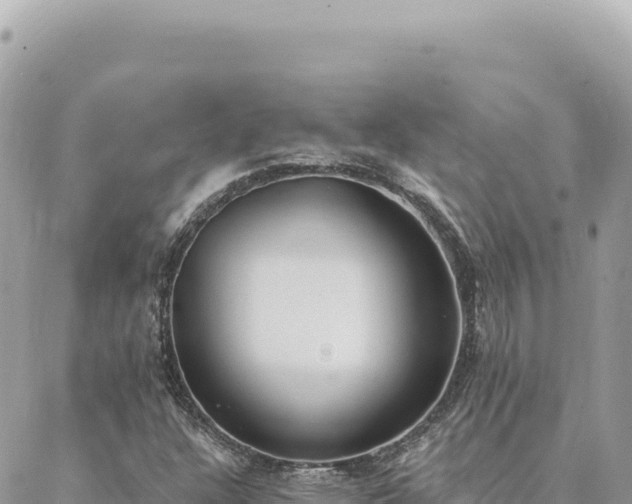 X0000088611304200706011217