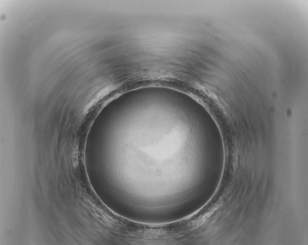 X0000088611306200706011217