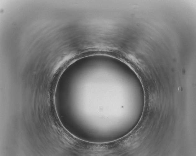 X0000088611307200706011217