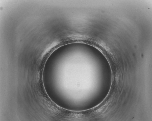 X0000088611309200706011217