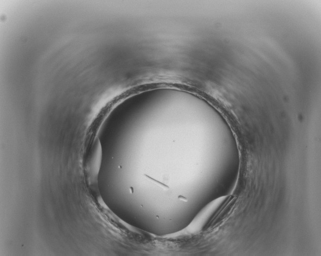 X0000088611312200706011217