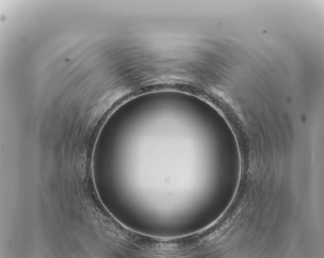 X0000088611313200706011217