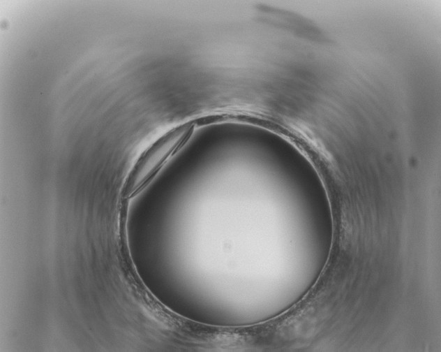 X0000088611316200706011218