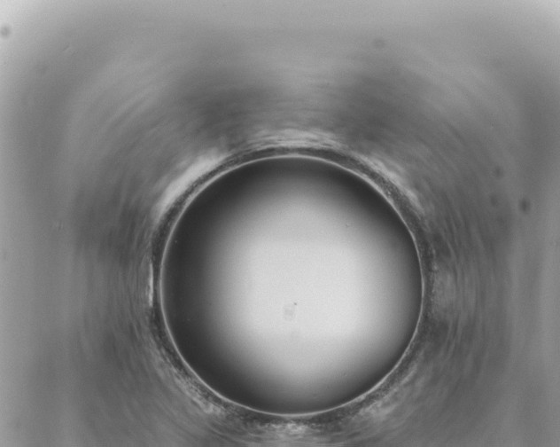 X0000088611317200706011218