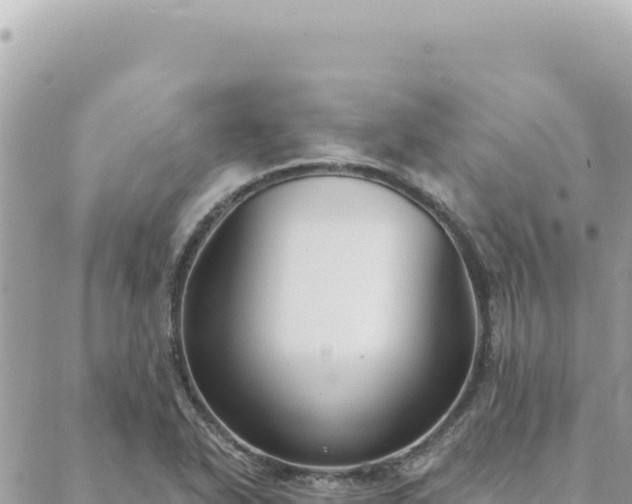 X0000088611318200706011218