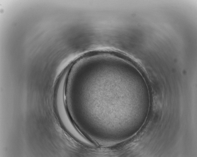 X0000088611319200706011218