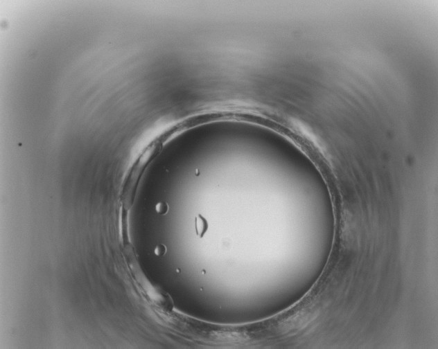 X0000088611320200706011218