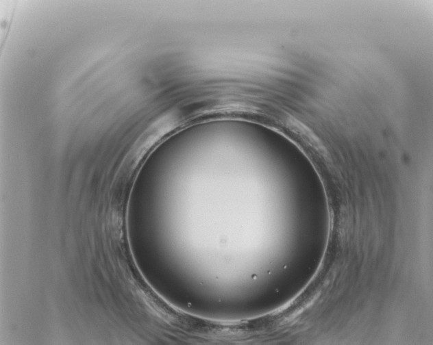 X0000088611321200706011218