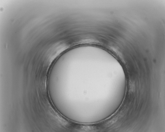 X0000088611322200706011218