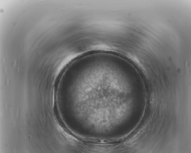 X0000088611323200706011218