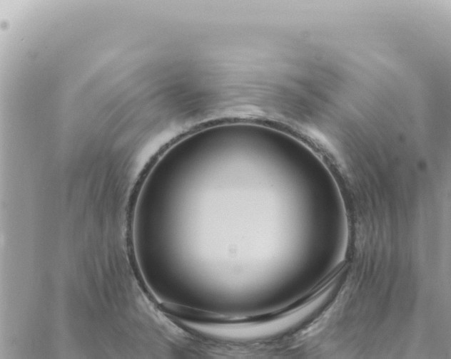 X0000088611326200706011218