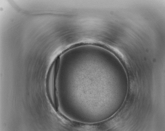 X0000088611327200706011218