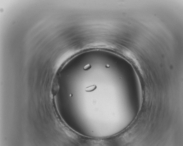 X0000088611328200706011218