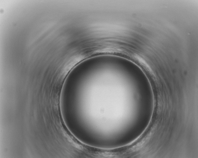 X0000088611329200706011218