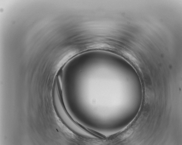 X0000088611330200706011218