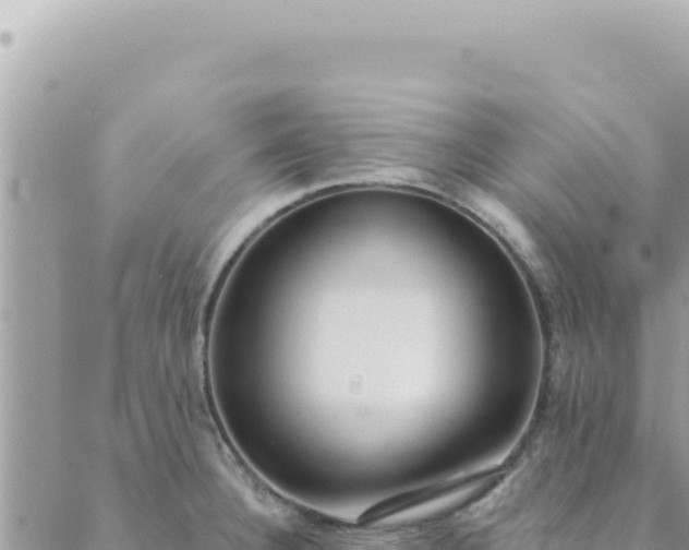 X0000088611332200706011218